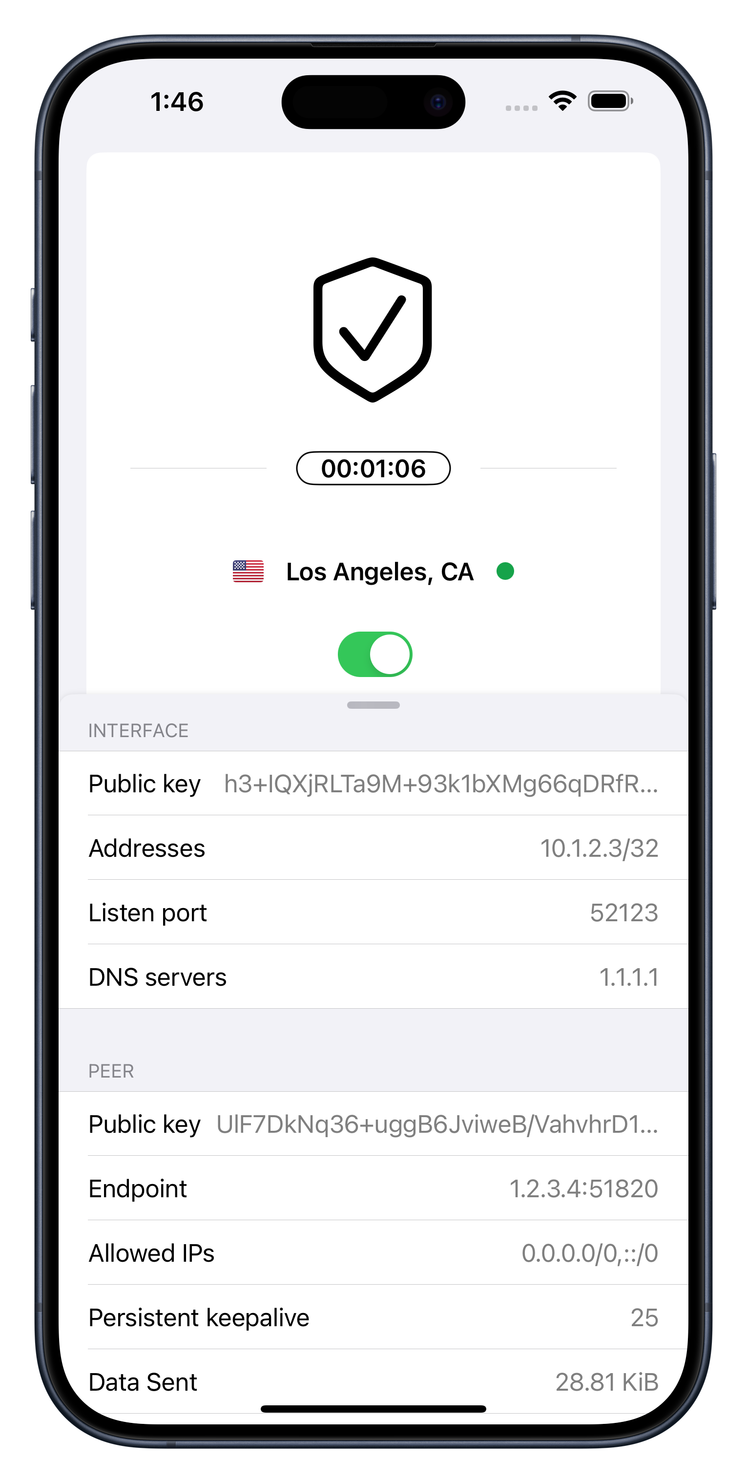 iPhone VPN runtime WireGuard configuration light appearance